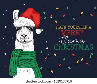 Merry llama christmas greeting festive card vector illustration. Joyful alpaca in red santa claus cap and looking at camera and congratulating everyone. Xmas holidays concept