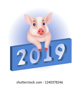 A merry pig, a symbol of the New Year 2019, vector illustration, EPS10