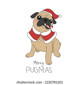 Merry Pugmas , Pug dog wear Santa hat and candy in mouth cartoon illustration	