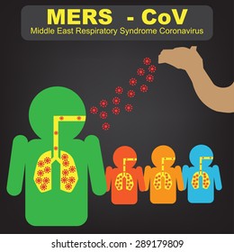 MERS-CoV(Middle East respiratory syndrome coronavirus) transfer from camel to human, vector illustration