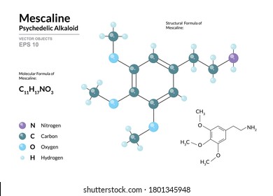 Mescaline. Naturally Occurring Psychedelic Protoalkaloid. Structural Chemical Formula and Molecule 3d Model. Atoms with Color Coding. Vector Illustration 