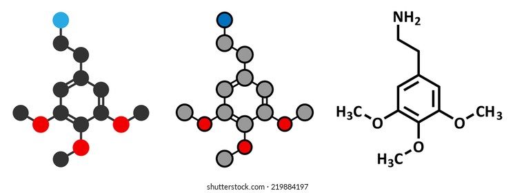 Mescaline psychedelic drug molecule. Present in peyote cactus. Stylized 2D rendering and conventional skeletal formula.