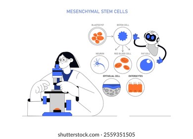 Mesenchymal stem cells concept. Scientist examining stem cells differentiation into various cell types. Educational biology vector illustration.