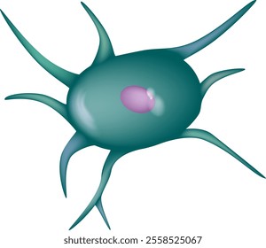 Mesenchymal stem cells (MSCs) or mesenchymal stromal  or Medicinal signaling cells are stromal cells. Cells bone Marrow
