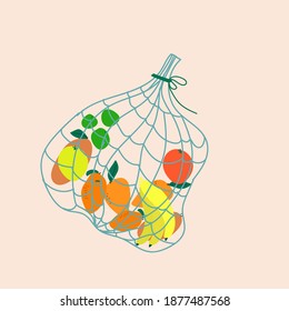 mesh bags with fruits eco shopping, plastic free concept. zero waste concept. Cartoon  design