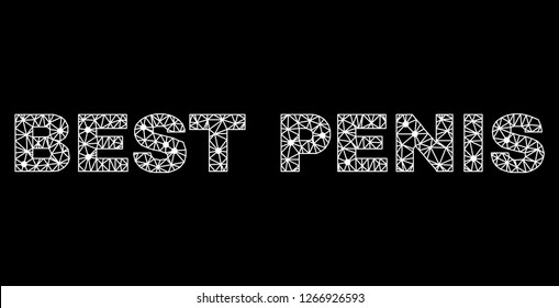 Mesh Best Penis polygonal text isolated on a black background. Best Penis title of wire frame build with lines and dots. Letters are triangulated and has white color.