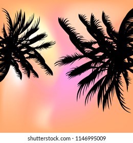 Mesh. Blurred orange pink background. Sunset with palms. Template for text. Example of design for sites, banners, posters, booklets