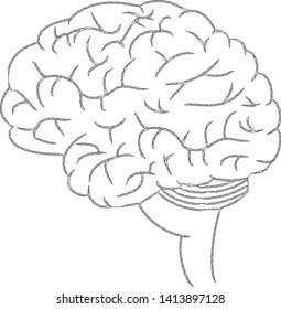 Mesh brain polygonal icon vector illustration. Carcass model is based on brain flat icon. Triangle network forms abstract brain flat model.