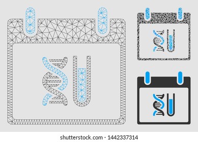 Mesh DNA analysis calendar day model with triangle mosaic icon. Wire frame polygonal mesh of DNA analysis calendar day. Vector mosaic of triangle elements in various sizes and color tinges.