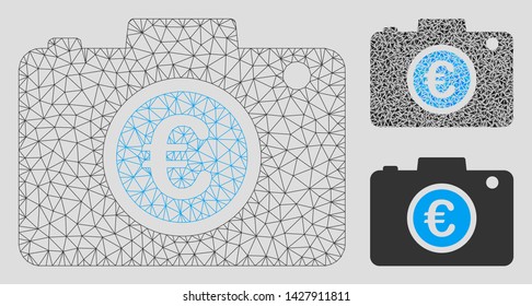Mesh Euro photo model with triangle mosaic icon. Wire carcass triangular mesh of Euro photo. Vector mosaic of triangle parts in different sizes, and color tinges. Abstract flat mesh Euro photo,