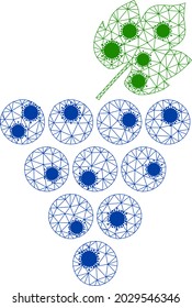 Mesh grapes bunch polygonal icon vector illustration, with coronavirus nodes. Carcass model is based on grapes bunch flat icon, with coronavirus nodes and polygonal mesh.