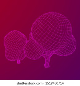Mesh image of trees. Low poly background. Eco vector. Wireframe low poly mesh vector illustration