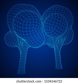 Mesh image of trees. Low poly background. Eco vector. Wireframe low poly mesh vector illustration