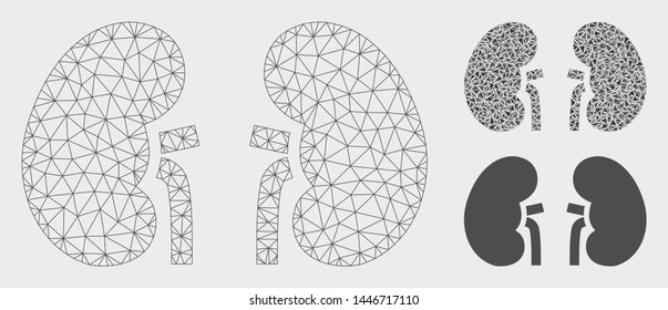 Mesh kidneys model with triangle mosaic icon. Wire carcass polygonal network of kidneys. Vector collage of triangle elements in variable sizes, and color tinges. Abstract flat mesh kidneys,