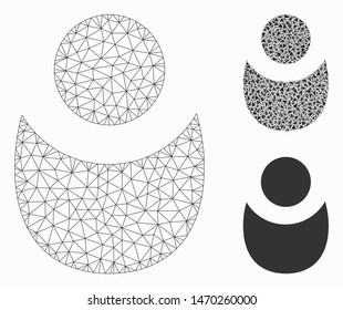 Mesh person model with triangle mosaic icon. Wire frame triangular mesh of person. Vector mosaic of triangle parts in various sizes, and color shades. Abstract 2d mesh person,