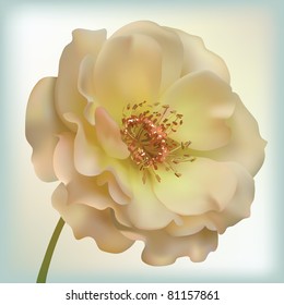 mesh rose flower