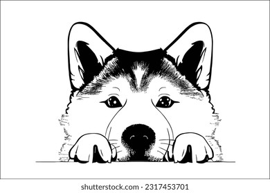 Mesmerizing and captivating, the elegant Akita dog's head gracefully peeks in this EPS file. With stunning realism, this artwork is a perfect addition to any design project