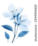 A mesmerizing digital illustration of delicate blue flowers and leaves in an X-ray style, revealing intricate details of their veins and structure
