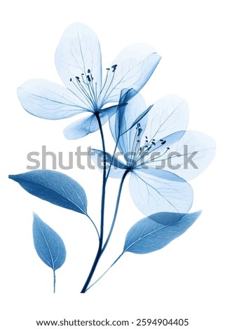 A mesmerizing digital illustration of delicate blue flowers and leaves in an X-ray style, revealing intricate details of their veins and structure
