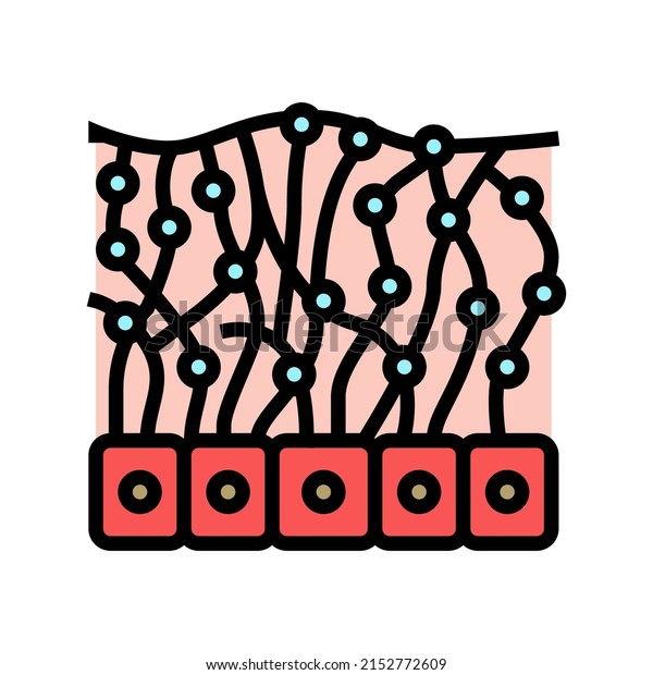 mesothelium health problem\
color icon vector. mesothelium health problem sign. isolated symbol\
illustration