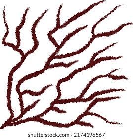 Messy Line Vector drawing Art