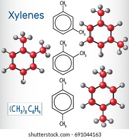 Meta , ortho,  para  Xylene isomers. Structural chemical formula and model. Vector illustration