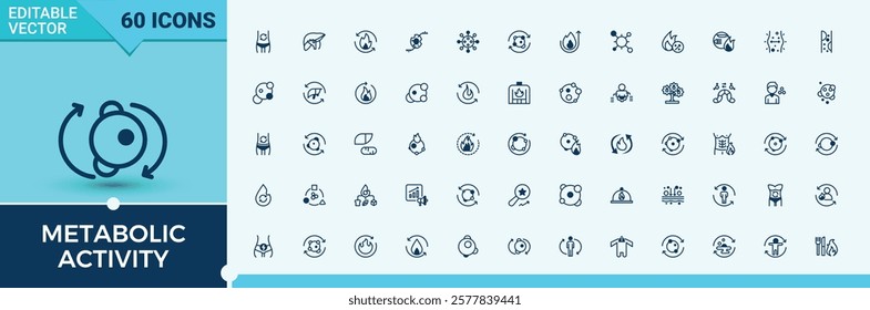 Metabolic Activity icon set. Containing nutritionist, calorie, protein, fiber, energy, food, detox and more. Simple line vector. Solid line editable stroke. Vector line and solid icons.