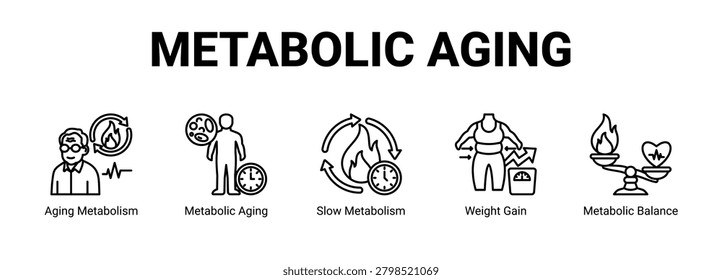 Metabolic Aging web banner icon concept, with Aging Metabolism, Metabolic Aging, Slow Metabolism, Weight Gain.