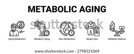 Metabolic Aging web banner icon concept, with Aging Metabolism, Metabolic Aging, Slow Metabolism, Weight Gain.