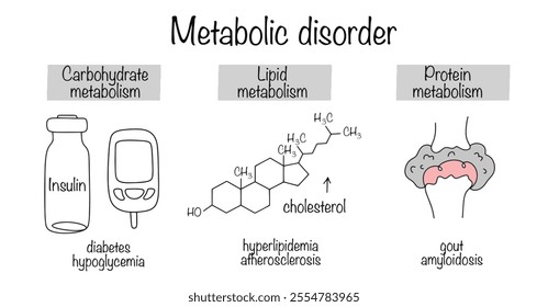 Metabolic disorders using the example of carbohydrate metabolism, fat metabolism and protein metabolism. Simple medical diagram. Vector illustration.