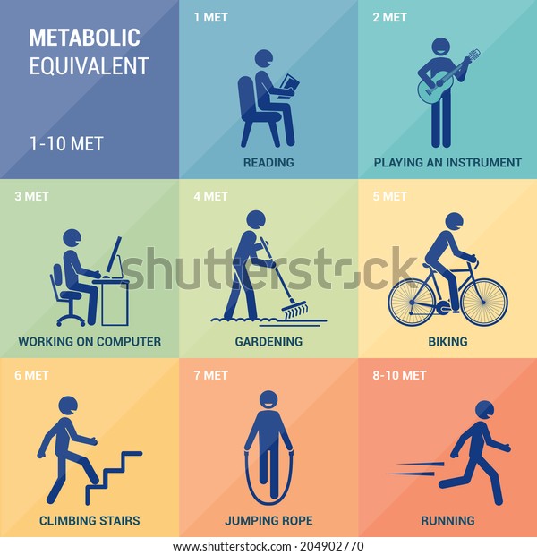 Download Metabolic Equivalent Stock Vector (Royalty Free) 204902770