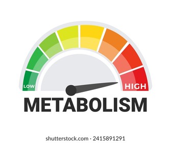 Concepto de medición de la tasa metabólica con un medidor de metabolismo intenso que indica los niveles de bajo a alto