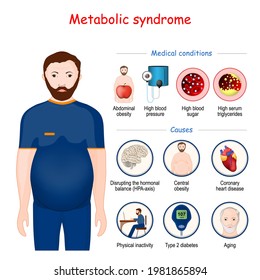 Metabolic Syndrome Causes Medical Conditions Infographic Stock Vector ...