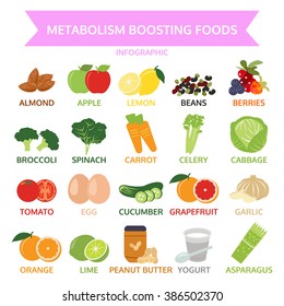 metabolism booting foods, info graphic food, vegetable, fruit vector