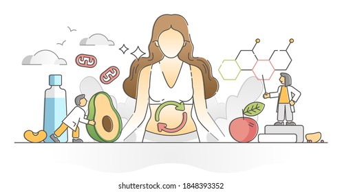 Metabolism chemical reaction as food conversion to energy outline concept. Digestive system proteins or lipids regulation with metabolic waste vector illustration. Human catabolic and anabolic process