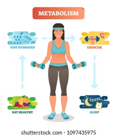 Metabolism Concept Vector Illustration Diagram, Biochemical Body Cycle. Eating Healthy, Drinking Water, Exercising And Sleeping Well. Human Wellbeing Poster.