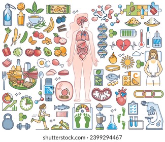 Metabolism, digestive system, healthy eating or slimming outline collection set. Nutrition, body mass index for weight control and food products for overweight vector illustration. Balanced food.