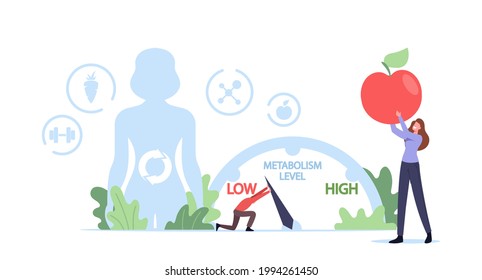 Metabolism of Human Organism Concept. Tiny Character Move Arrow to Increase Metabolic System Level. Young Woman Eating Diet Food for Energy, Digestion and Hormones. Cartoon People Vector Illustration