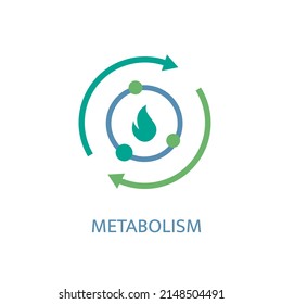 Metabolism Icon. Linear Medical Pictogram. Chemical Process Sign. Energy Burning. Scientific, Medicine, Body Health Symbol. Healthcare Graphic Design. Vector Illustration Isolated On White Background