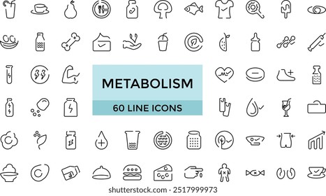 Vetor de contorno de coleções de ícones do metabolismo. Saúde do tronco. Desbotar saldo e muito mais, Conjunto de ícones de Contorno. Coleções de vetor de ícone fino editável.