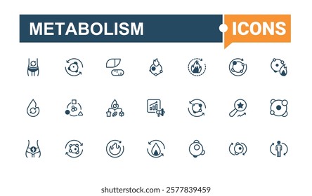 Metabolism icons set in linear style. Contains such icons as diet, health, carbohydrate, nutrition, scale, fat and more. Web icons. Solid line editable stroke. Vector line and solid icons.