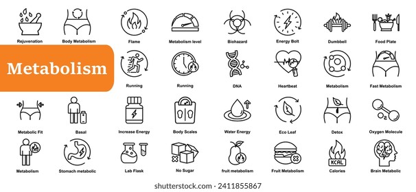 Metabolism icons set simple vector. Health torso. Balance detox