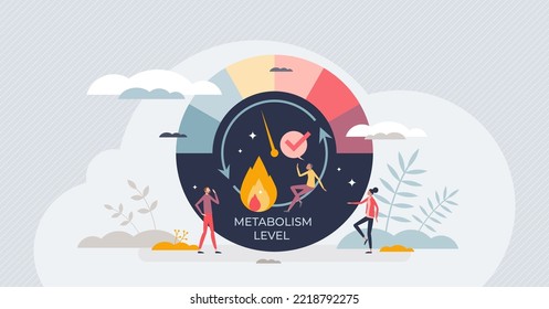 Metabolism level measurement scale with speed of body burning calories tiny person concept. Medical indicator for health control and digestion circulation vector illustration. Food consumption speed.