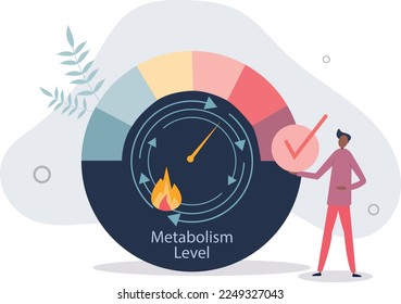 Metabolism level measurement scale with speed of body burning calories.Medical indicator for health control and digestion circulation.flat vector illustration.