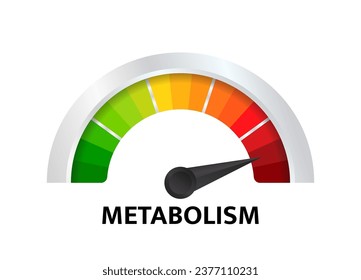 Metabolismus. Steuern Sie Gesundheit, Pflege und bestimmen Sie auf Tachometer, Tachometer, Anzeiger, Messgerät. Infografik-Zähler. Vektorgrafik