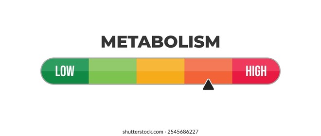 Escala de nível de metabolismo para medição com indicador preto. Alta e baixa taxa metabólica de nutrientes. Elemento de nível infográfico.