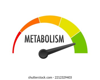 Metabolism level scale. Sign tachometer, speedometer, indicators. Vector stock illustration.