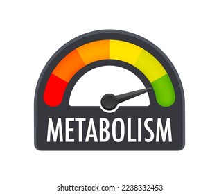 Metabolism level scale. Sign tachometer, speedometer, indicators. Vector stock illustration.
