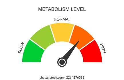 Metabolism meter dashboard with arrow. Metabolic levels from slow to high. Chart of rate which body converts foods and drinks into energy. Vector flat illustration.