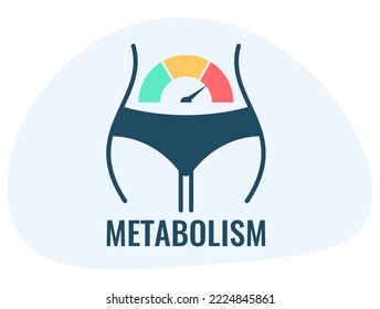 Metabolism vector icon on white background, indicator for metabolism level measuring